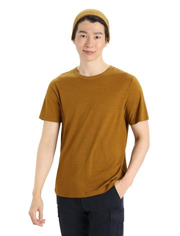 Pánské Tričko Icebreaker MerinoFine™ Krátké Sleeve Hnědé | CZ 1756WNBY